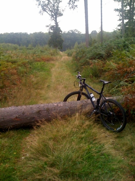 Trailsuche im Kerpener Wald-West