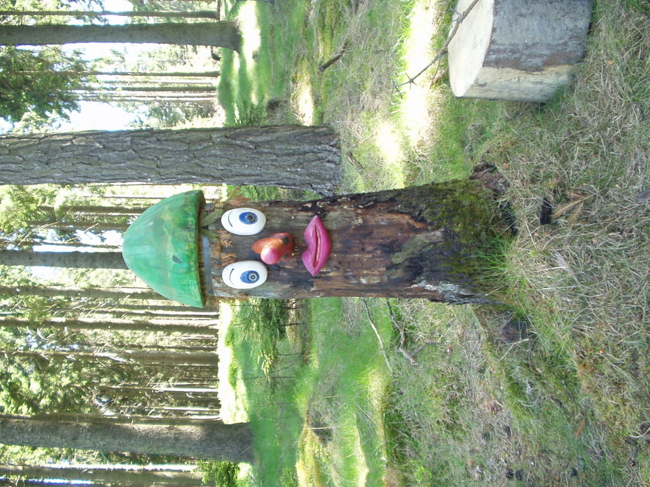 Luby-plesna-horni paseky-Luby