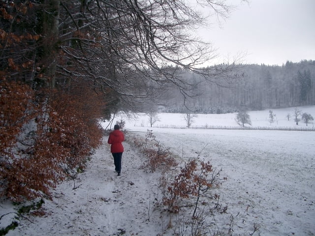 Winterwanderung bei Tettnang