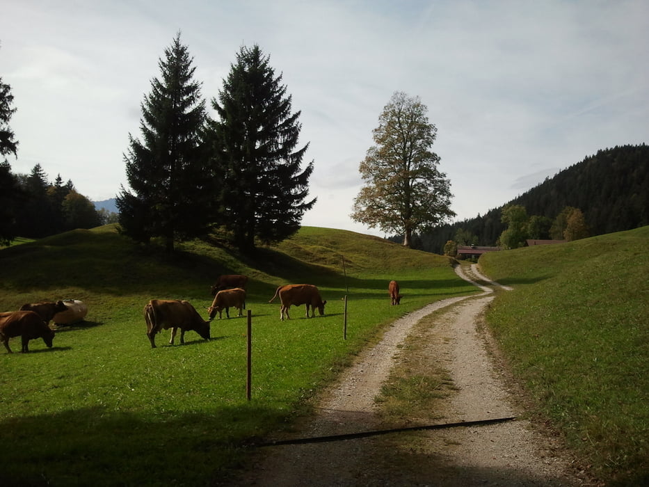 Zugspitzland: Mit dem Mountainbike zum Gschwandtnerbauer