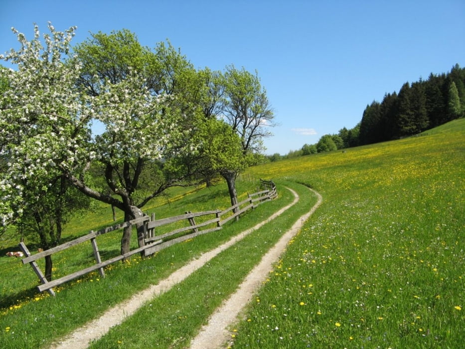 Schwarzenbach Rundwanderung