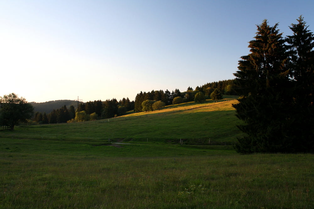 Spaziergang durch das Taubachtal