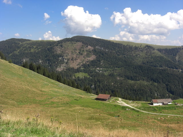 Nussdorf - Heuberg - Buchberg Rundweg