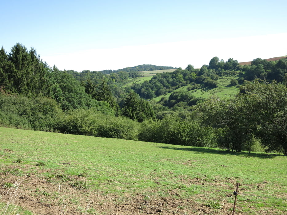Nettersheim, Archäologie entdecken