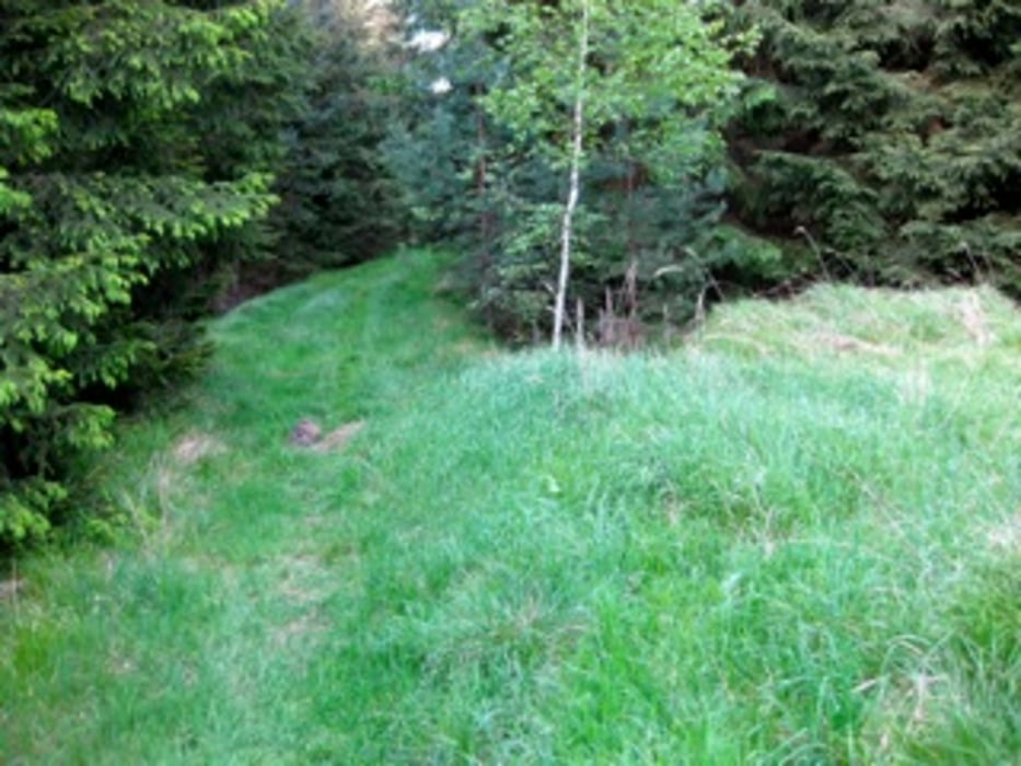 Auf Single-Trails durch die Dresdner Heide V1.1