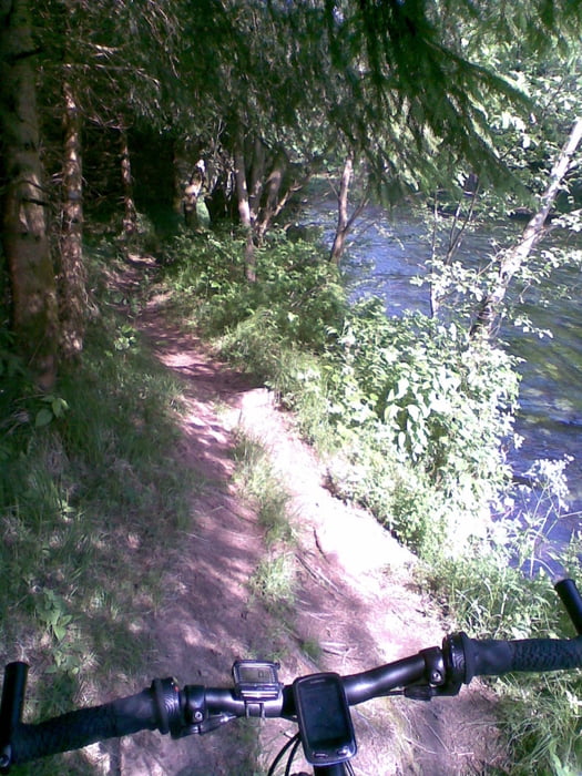 Trailtour von Zwiesel n Deggendorf über Geißkopf