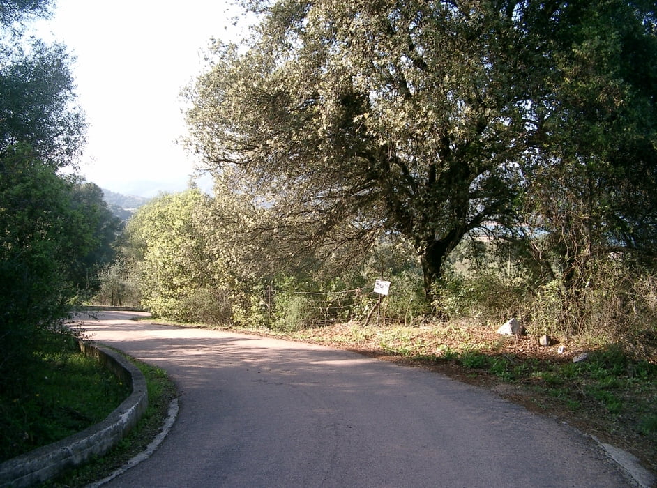 Sardinien