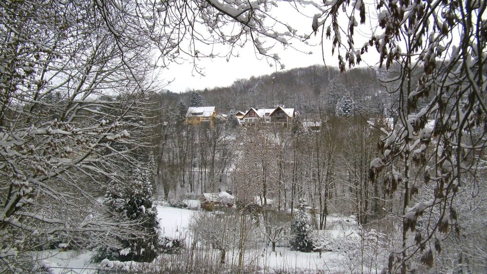 Schneeschuhwandern Franken: Igensdorf-Gräfenberg