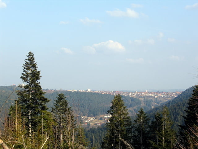 Baiersbronn Wasenhütte Reichenbächle