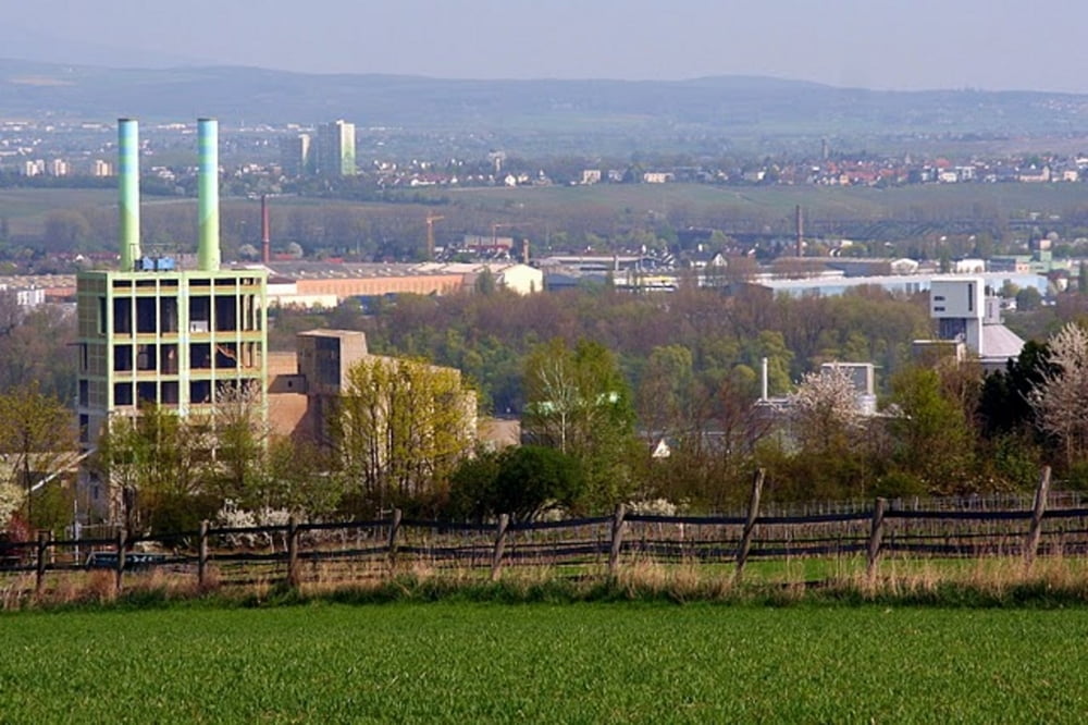 Weinbergtour 1