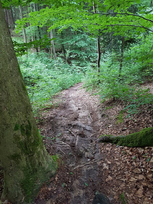 Stoeckenhof-Pionierweg über Lutzenberg- Vorderwestermurr und zurück