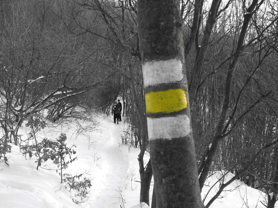 20100124_Dúbravka, nad Sandberg, náučný chodník, vrchol kobyly, Dúbravka