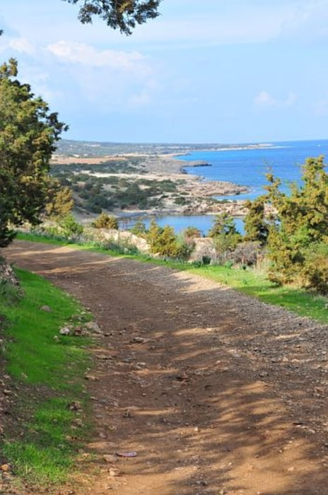 Akamashalbinsel Polis – Kap Arnaouti – Neo Chorio – Polis 