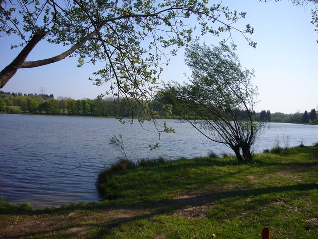2 Weiher-Tour Malberg-Dreifelden