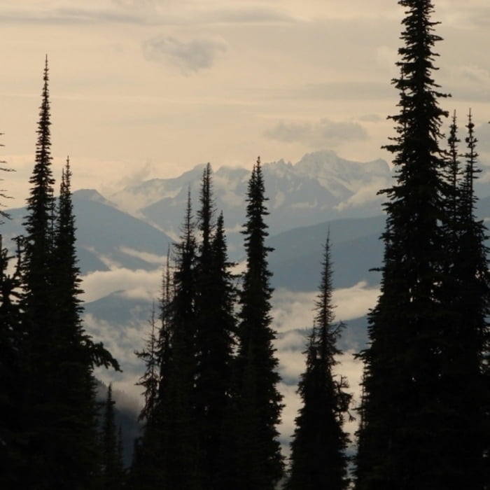 Blick vom Mt. Revelstoke
