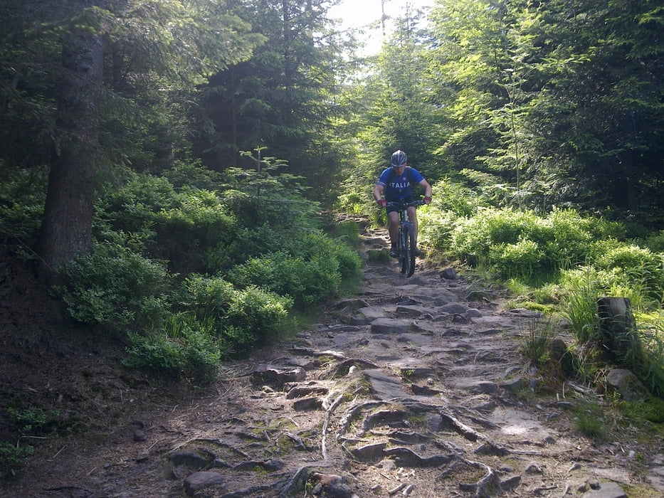 Murgachtal