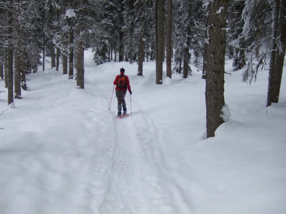 Passo Lavaze-Pampeago