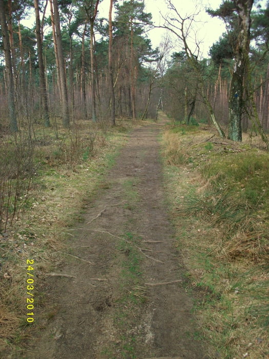 Velen Bocholt Aalten
