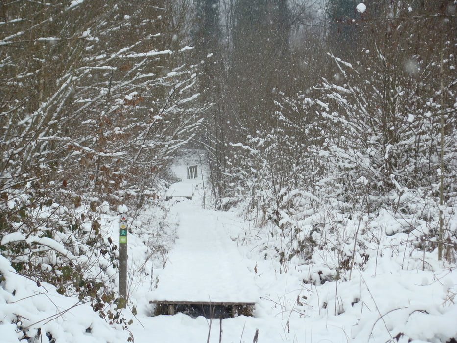 wandelen in de natuur rond het centrum van lubbeek