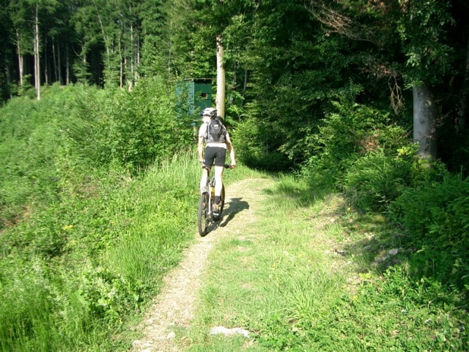 Tettnang Waldburg mit Trails