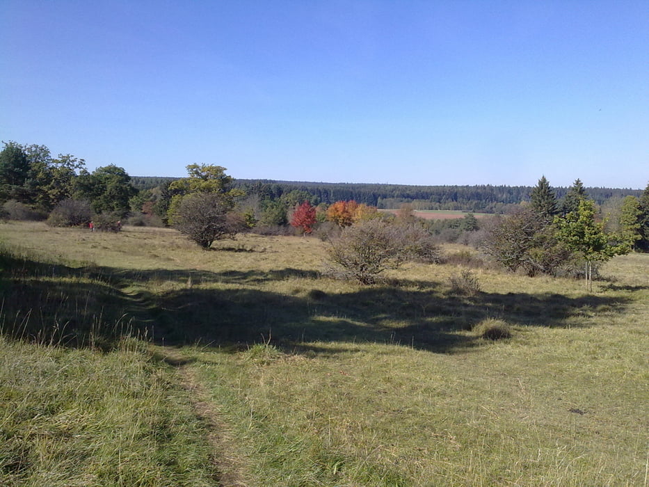Biketour rund um Villingen mit schönen Trails