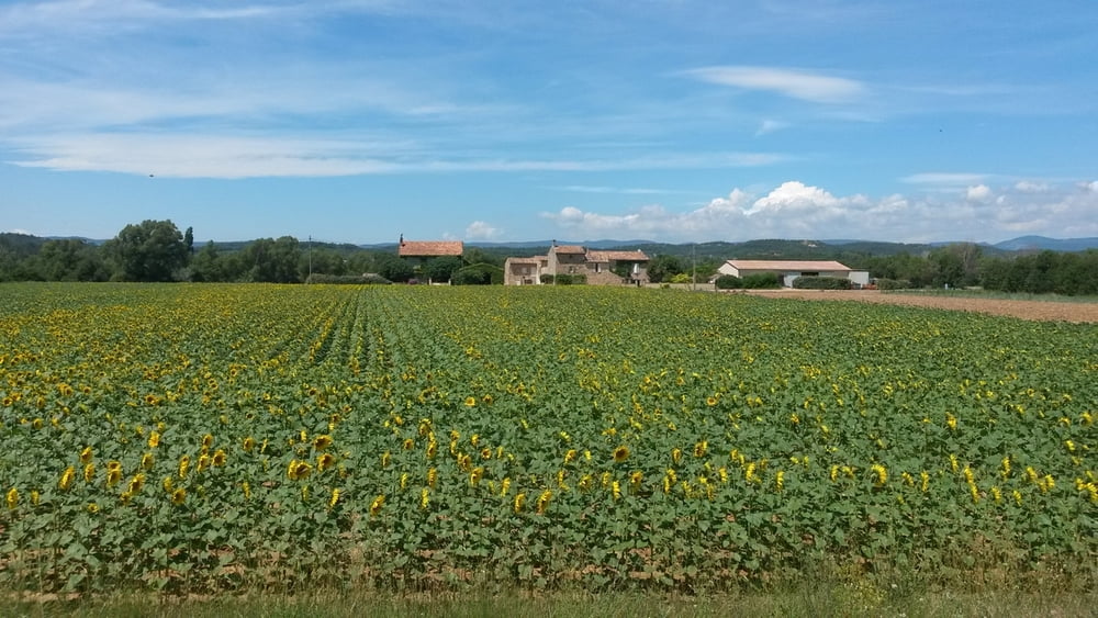 Frankreich 2014 - von Genf nach Aix-en-Provence