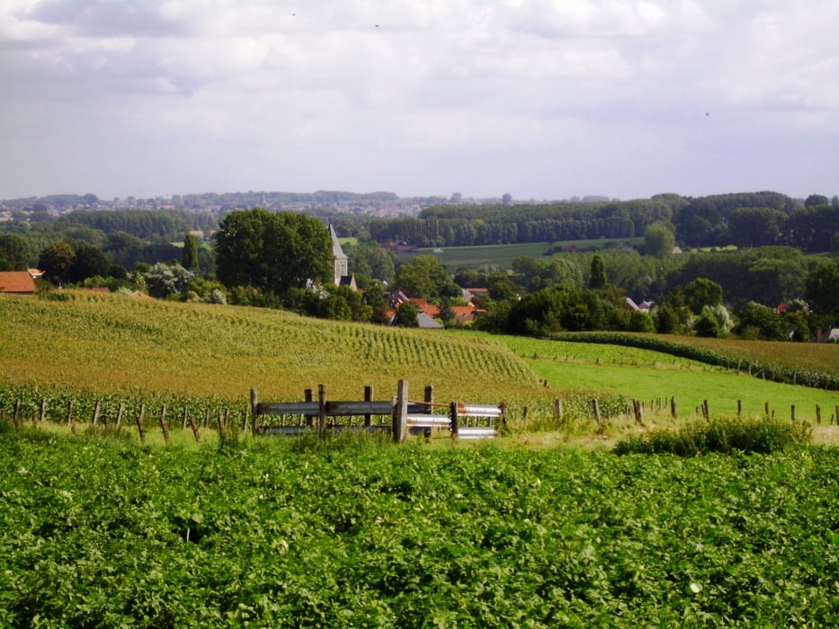Zwalmstreek