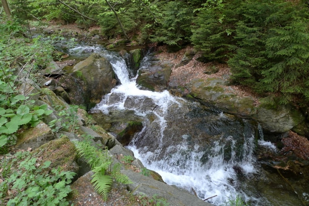 Kamenna - Nyznerovske vodopady - Klinova Bouda - Sokoli skaly - Studeny - Kamenna