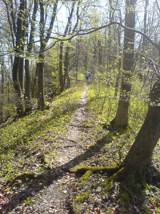  Kammtrails auf Külf, Duinger u. Thüster Berg