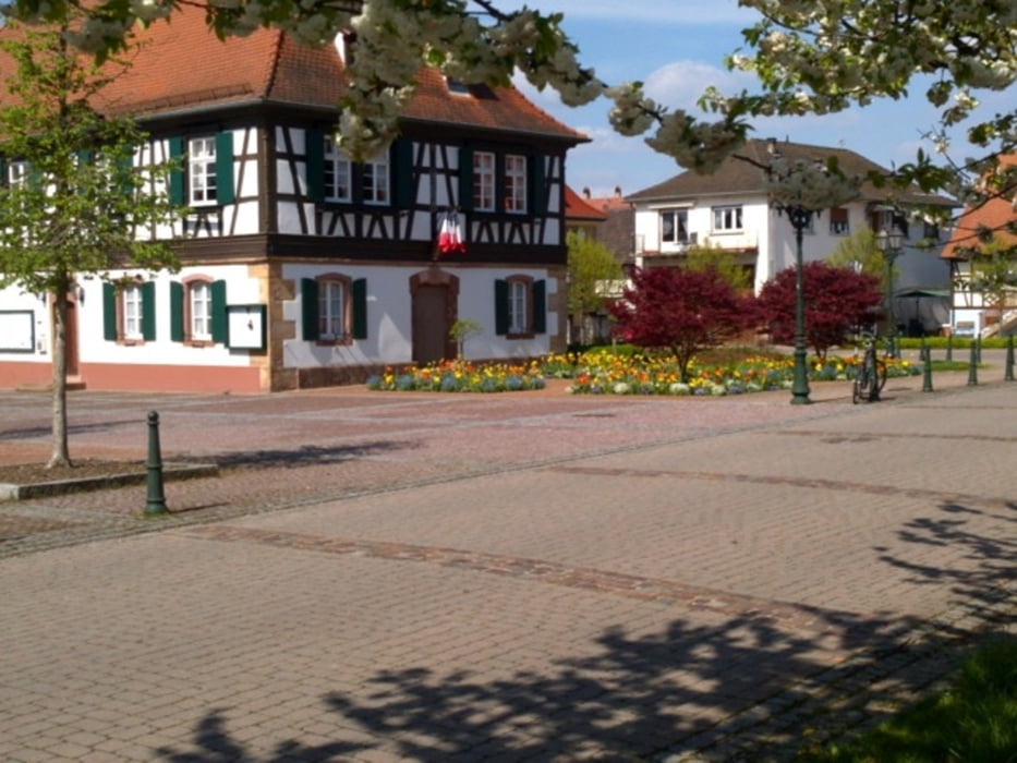 Von Dörrenbach ins Elsass