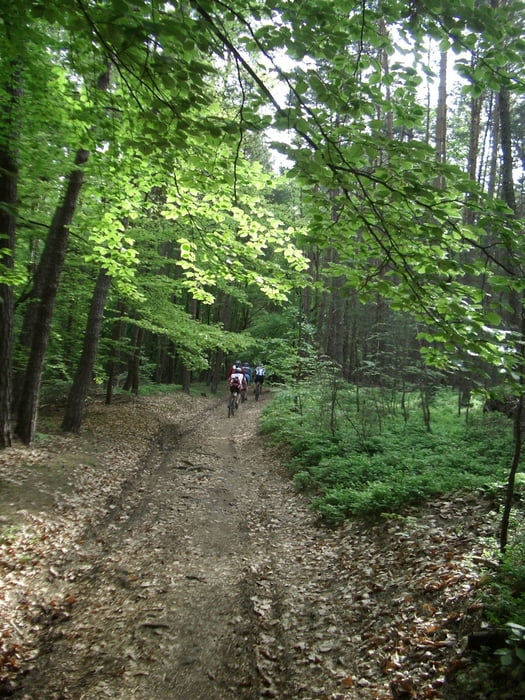 16. Sulzbacher “Cross Country Spessart Tour” 2009