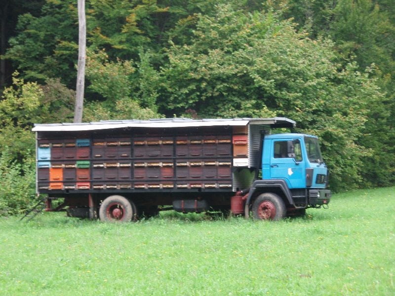 Grosuplje-Mali vrh-Javor-Pance-Grosuplje