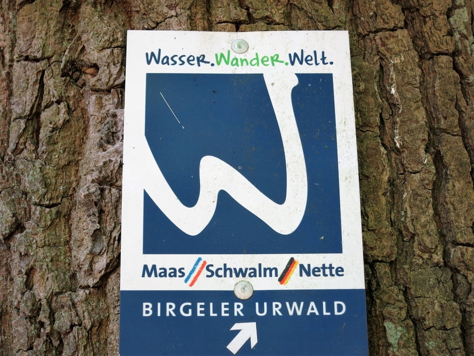 durch den Birgeler Urwald
