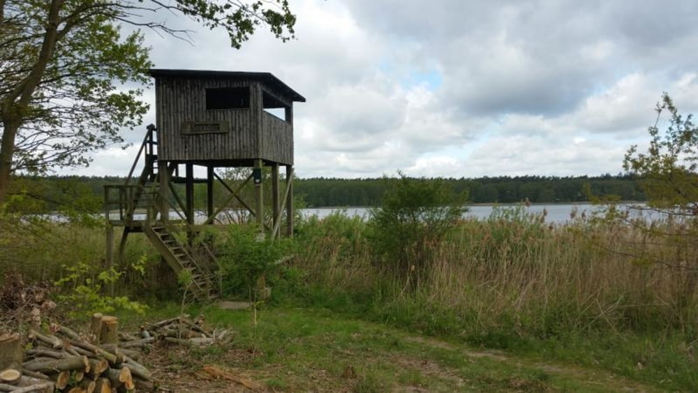 318. Wooster Teerofen, Naturpark Nossentiner/Schwinzer Heide, Krakower See mit 3 Aussichtstürmen, MTB Tour