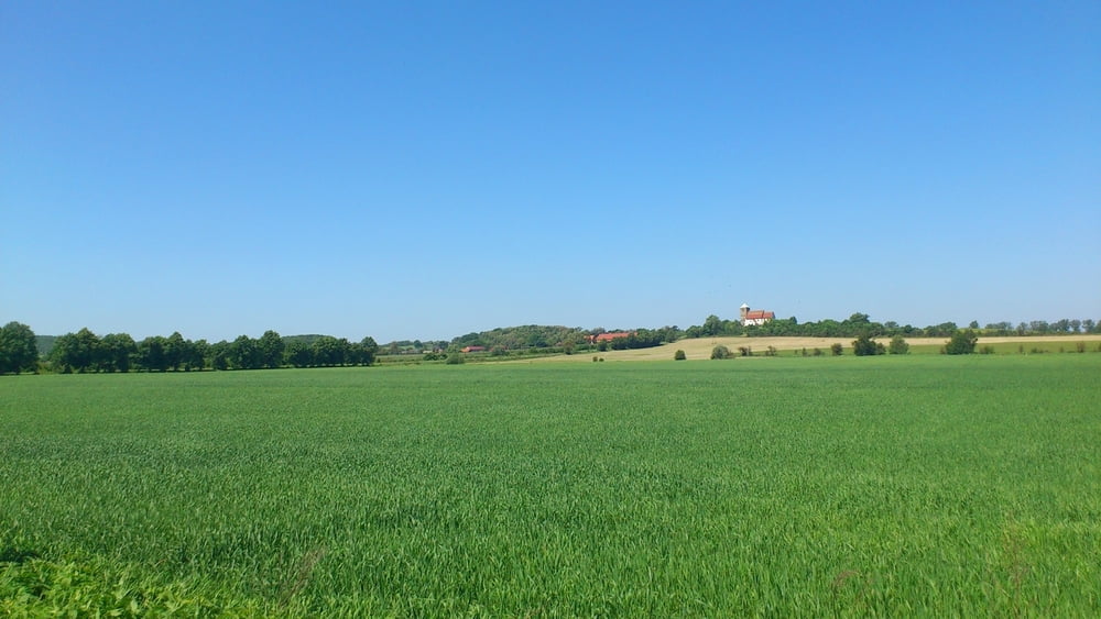 Okolice Kożuchowa