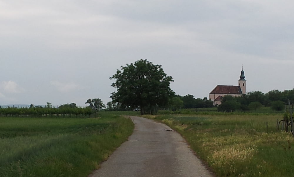 Reisenberg