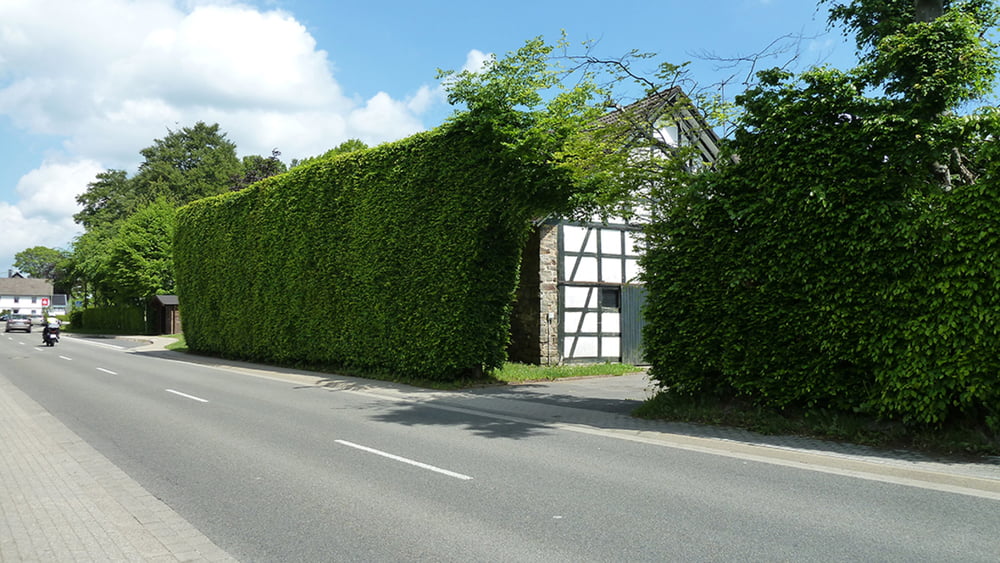 Der Eifelsteig, 3. Etappe Monschau-Einruhr