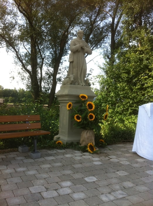 Von Zeil am Main in die Mainauen und über den Steigerwald zurück