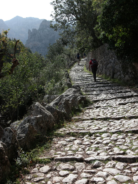 Sóller - Puig de l´Ofre