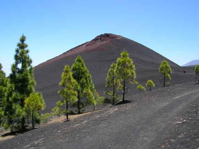 Lavafelder - Masca - Loorbeerwald