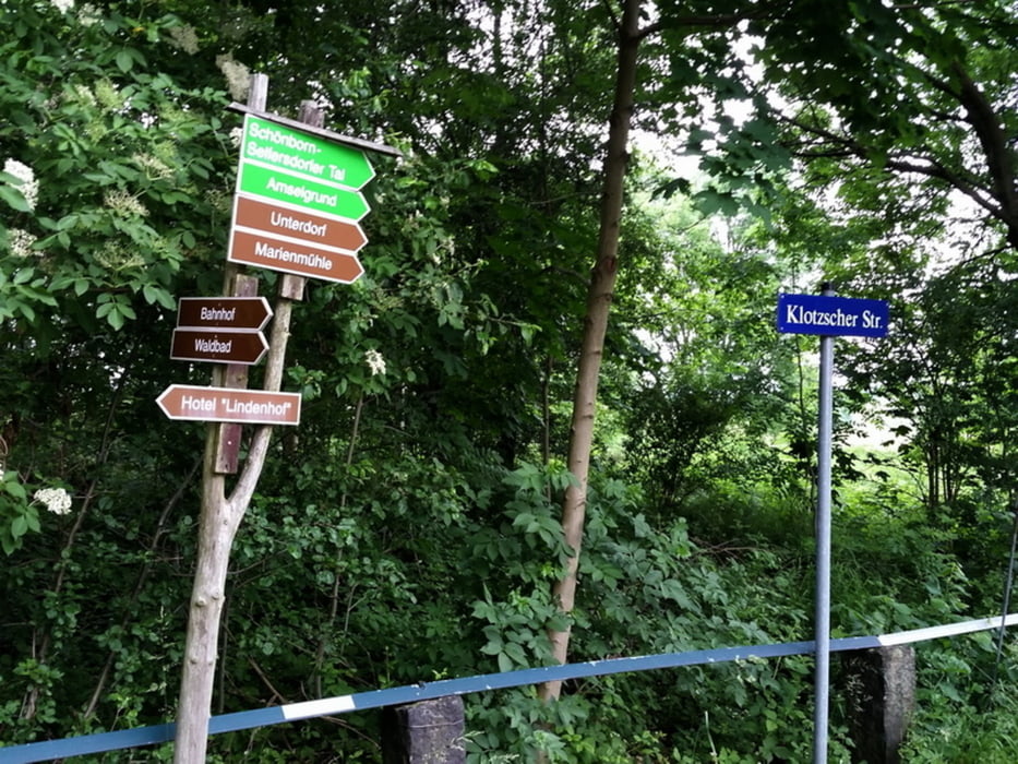 Waldbad Weixdorf nach Langebrück und zurück
