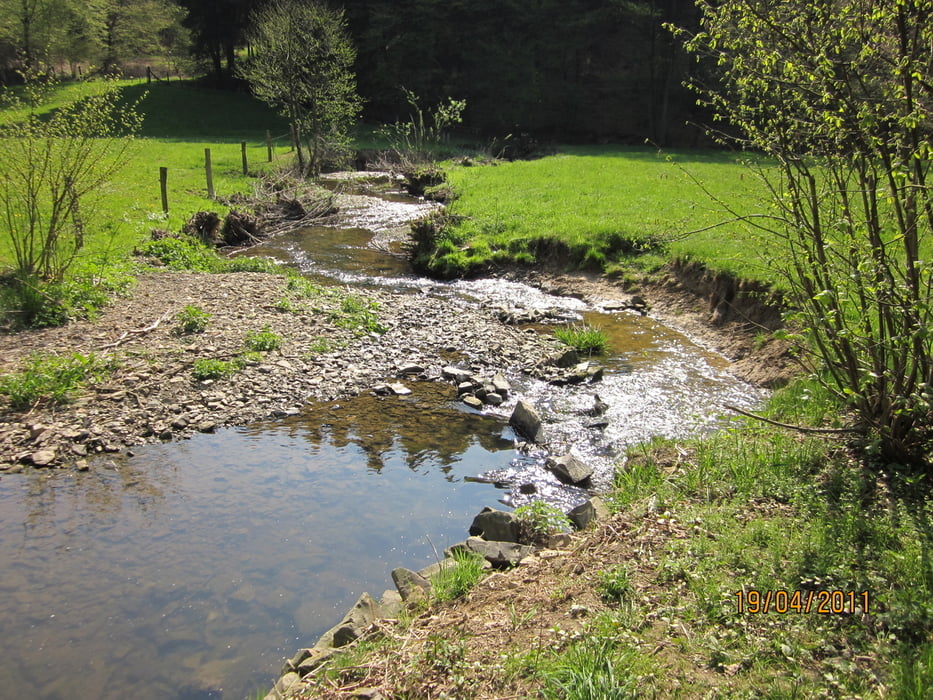 durch das Eifgenbachtal im Bergischen Land