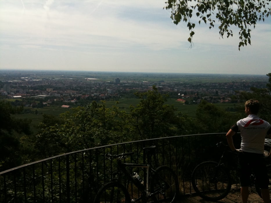 2. Weinbiet Tour