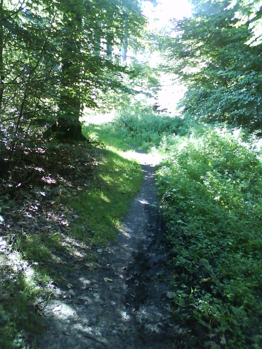 Gevelsberger Wald Trails