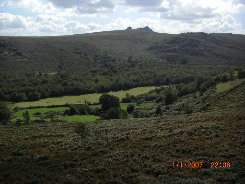 Mitten im Dartmoor