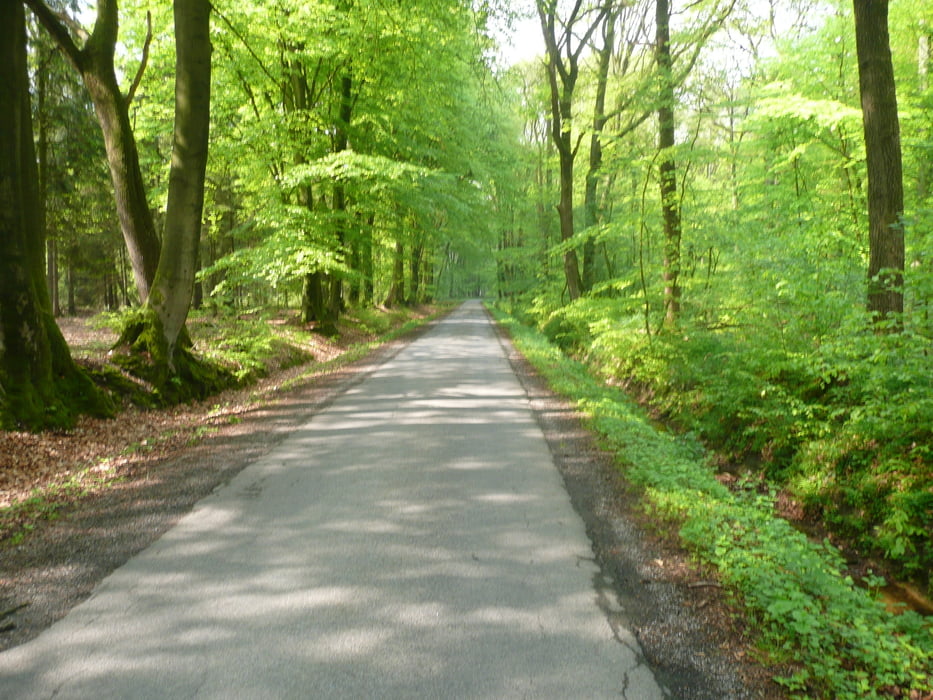 Bollengraben Reken