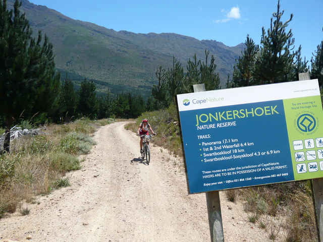 MTO FORESTY – JONKERSHOEK 