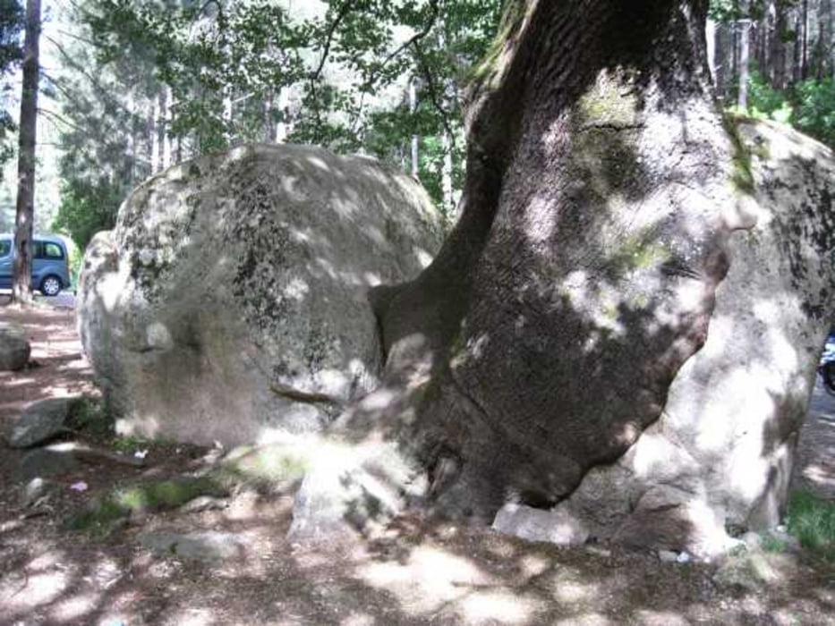 Korsika im Westen