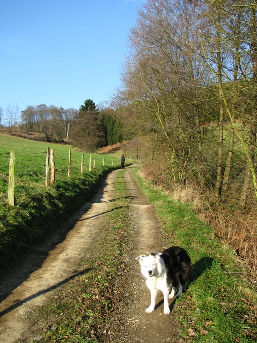 Von Linde nach Delling
