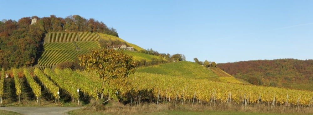 Wandern Franken: Herbstwald und Weinberge bei Oberschwarzach